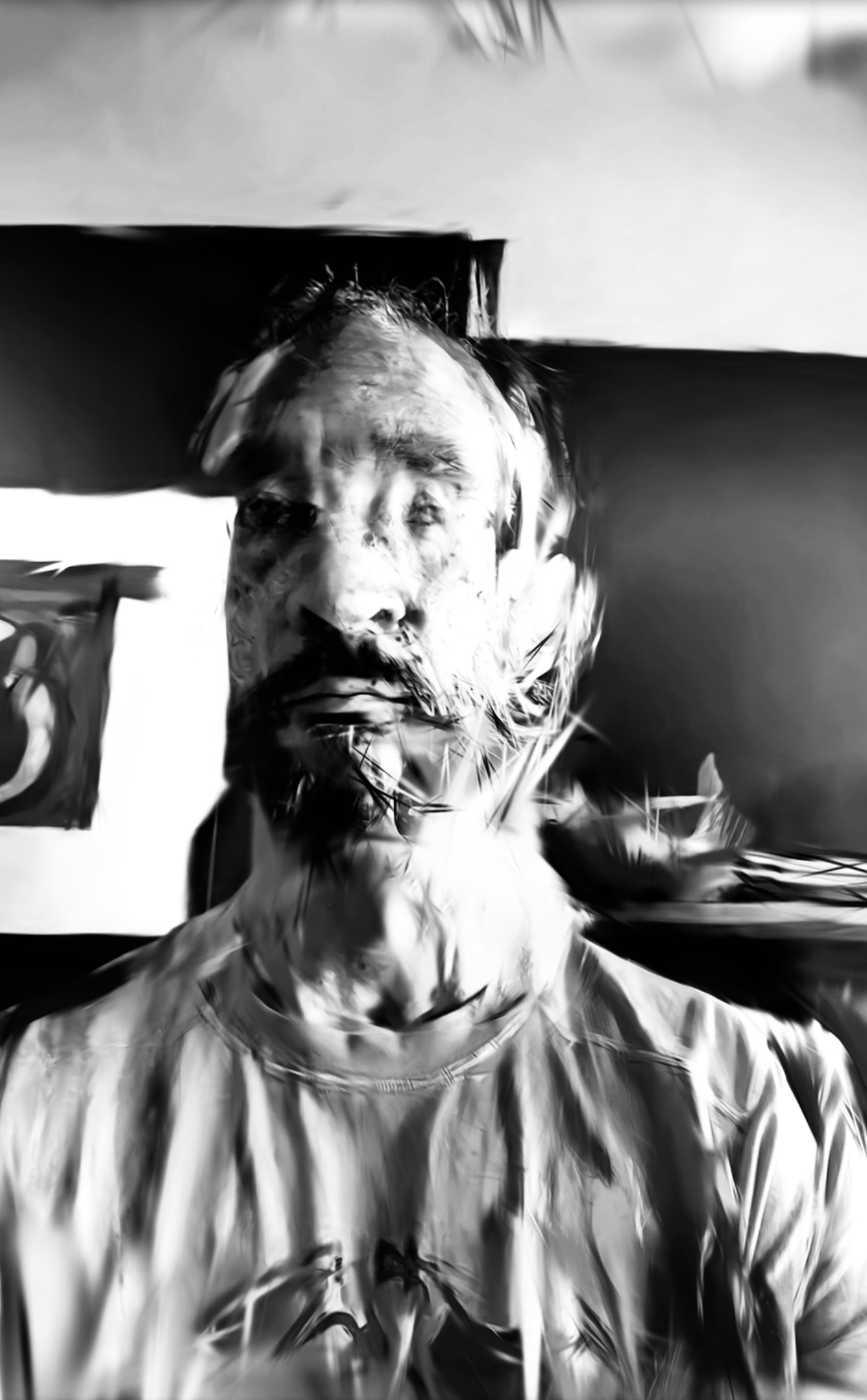 Fragmented self portraits